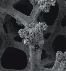 electrode pic31 full