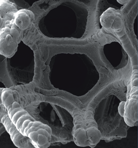 electrode pic32 full