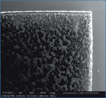 electrode pic42 full