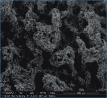 electrode pic43 full