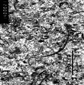 manufacture pic44 full